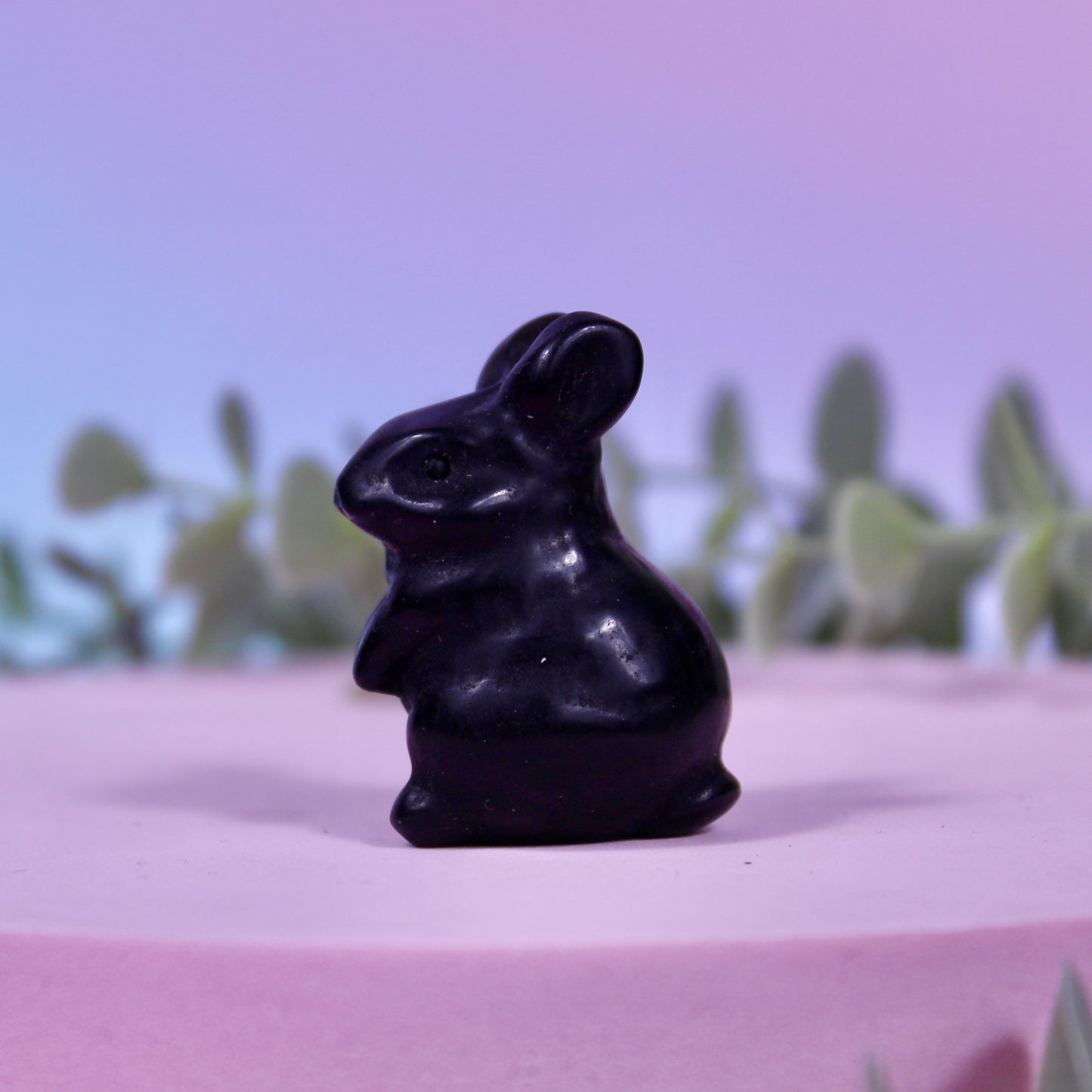 Rabbits