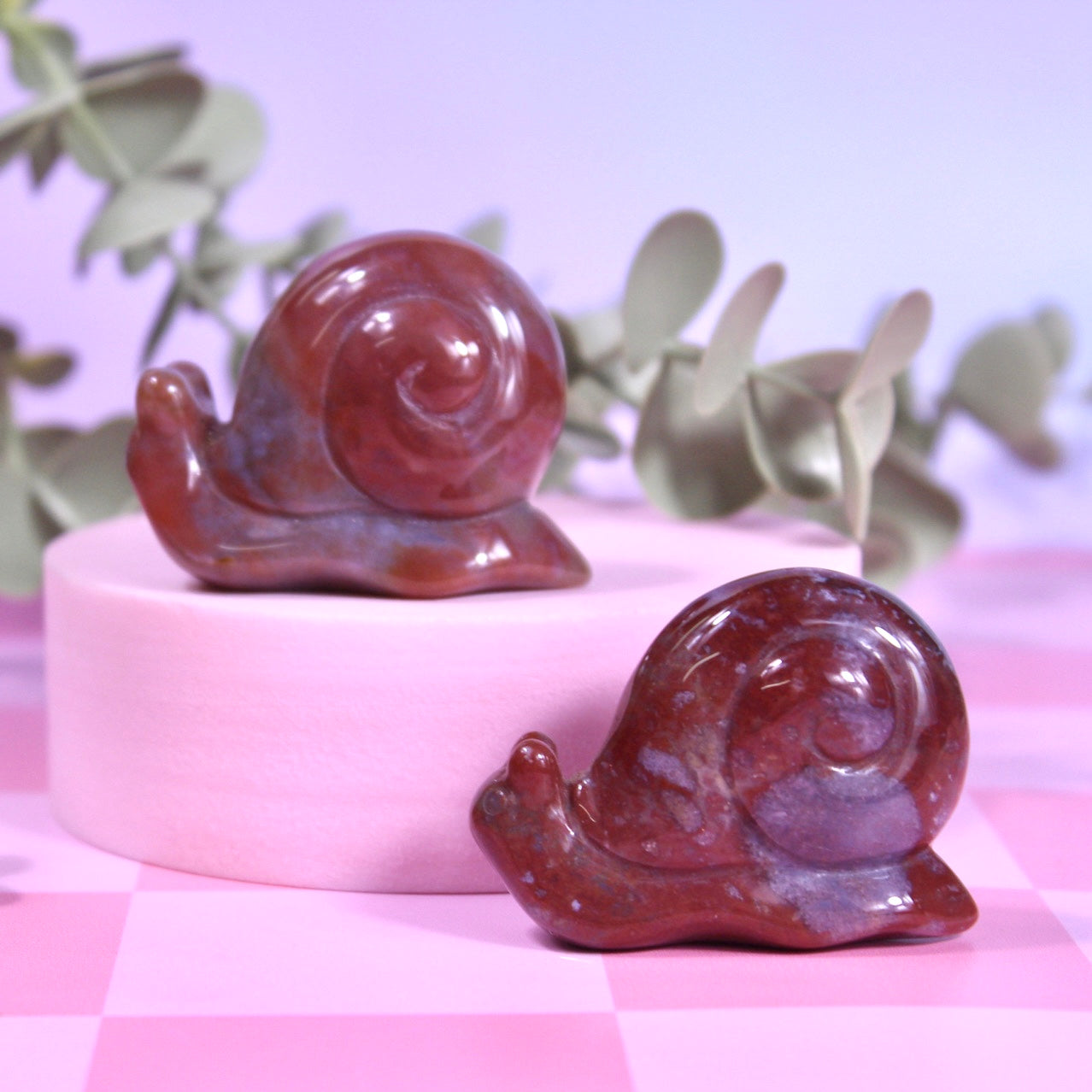 Ocean jasper snails