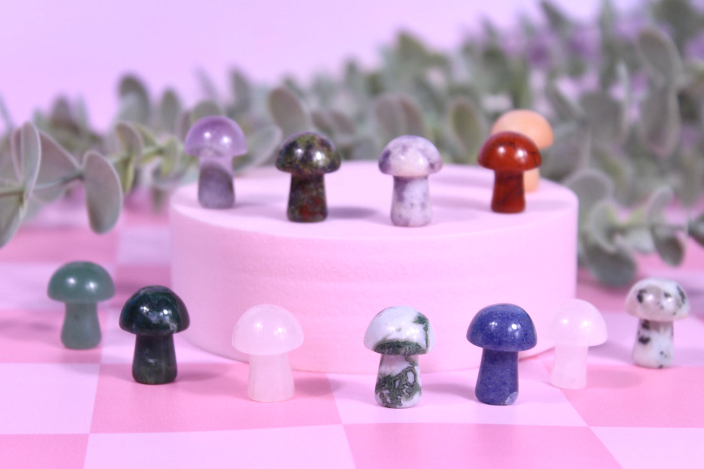 Mystery mini mushroom
