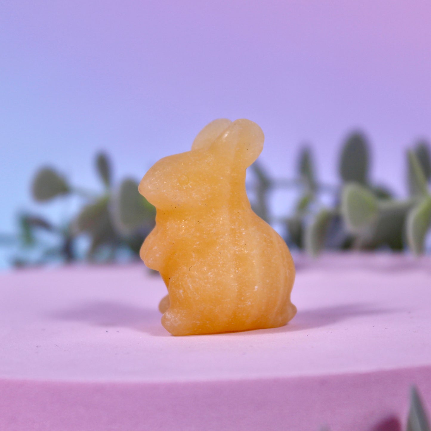 Rabbits