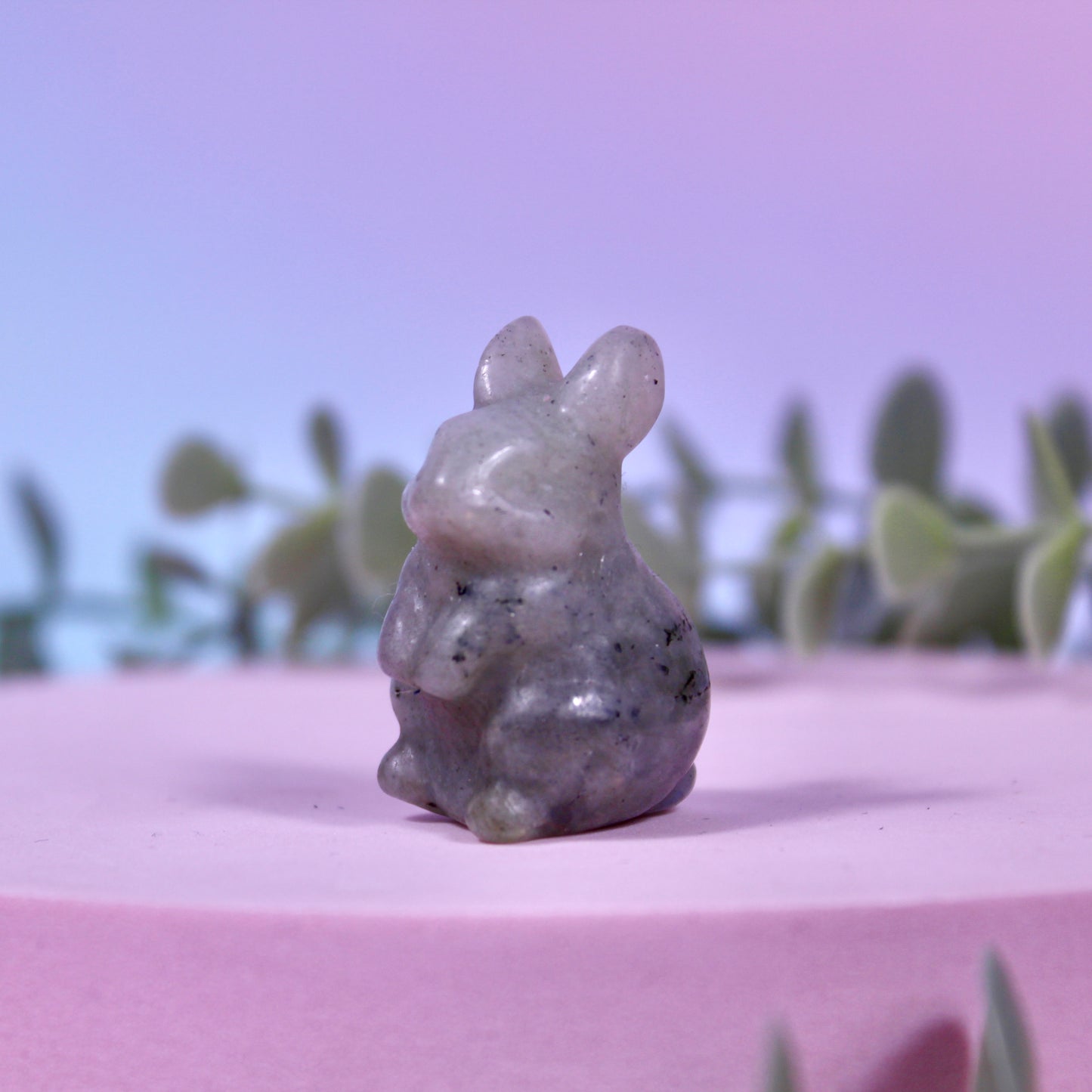 Rabbits