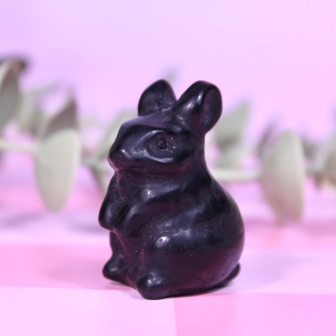 Rabbits