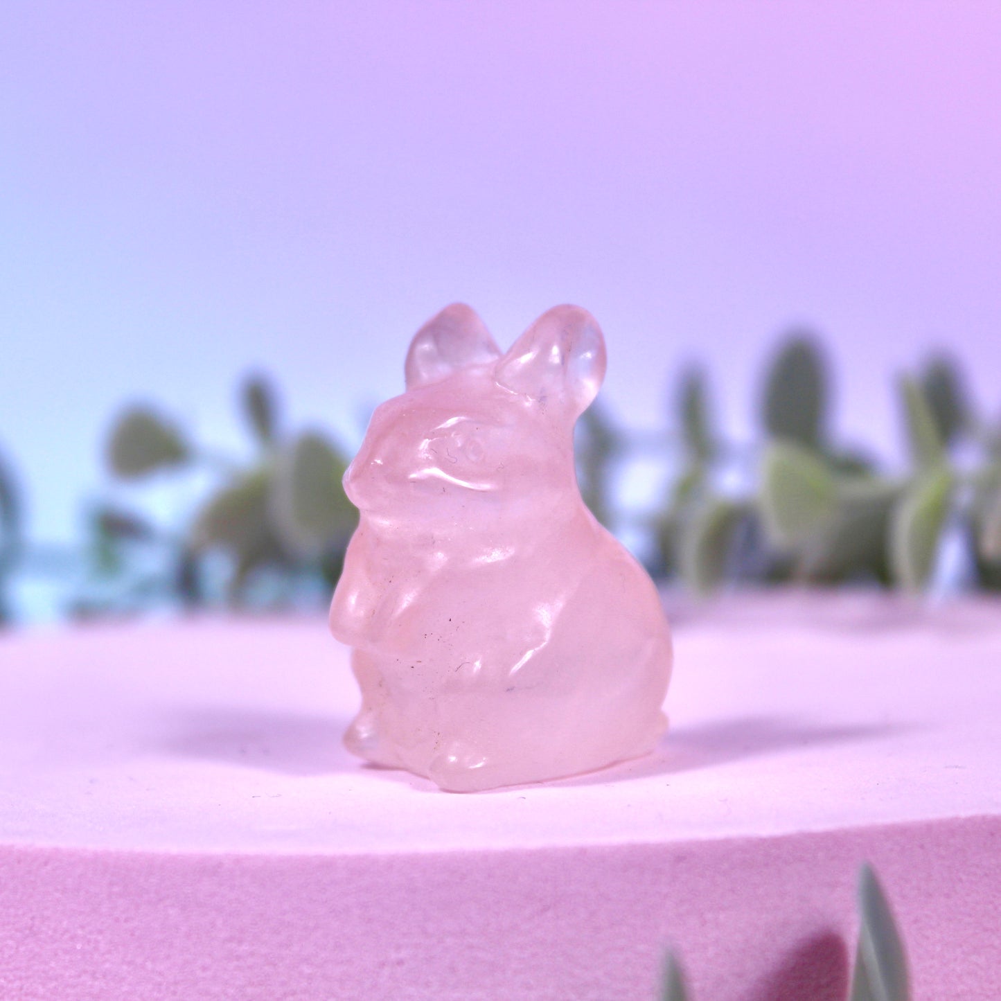Rabbits