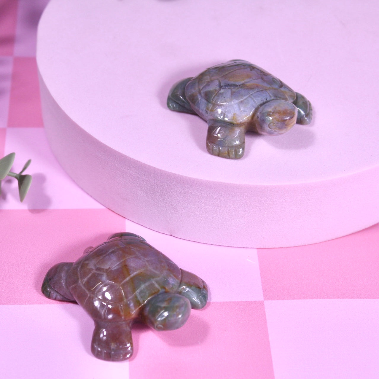 Ocean jasper turtles