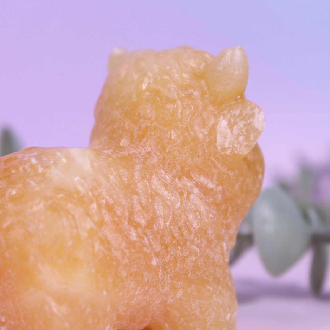 Clearance orange calcite highland cow | Large