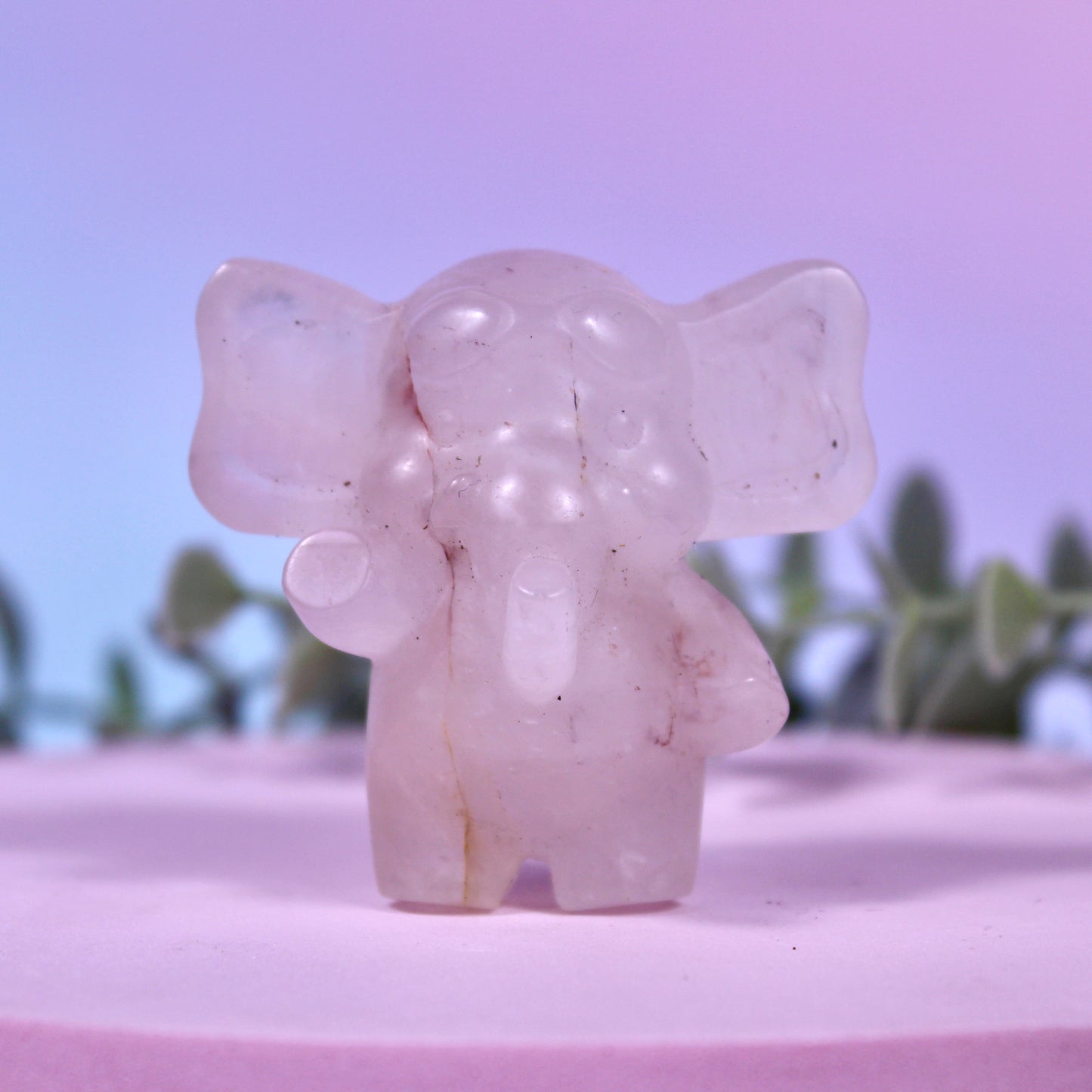Elephant carvings