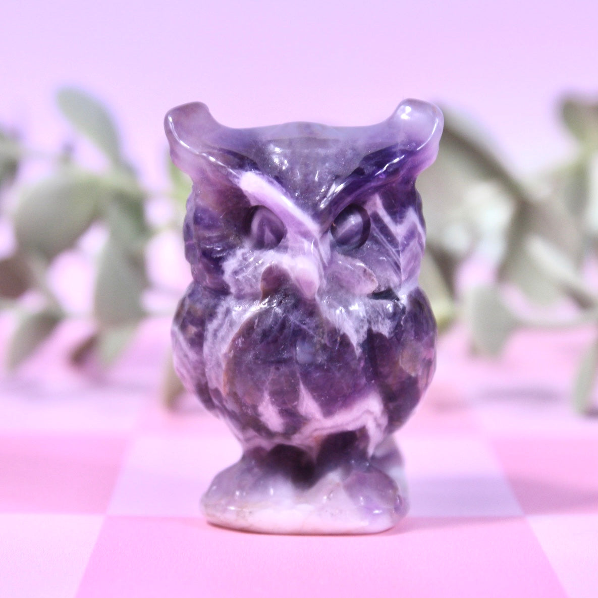 Chevron amethyst owl