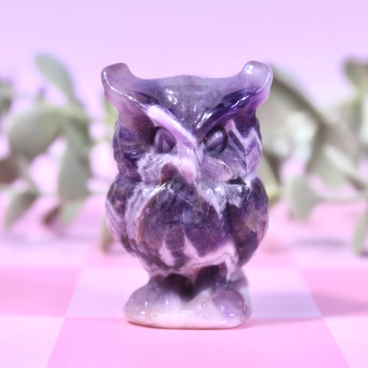 Chevron amethyst owl