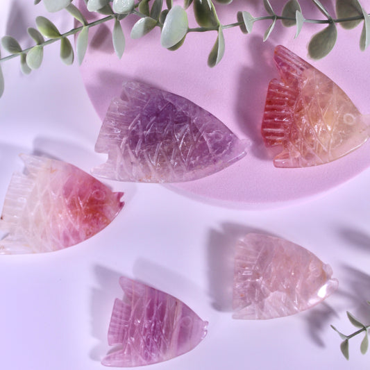 Fluorite fish