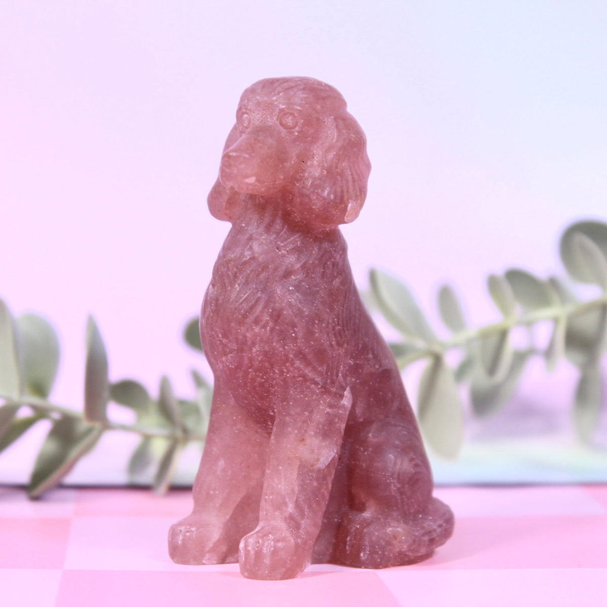 Strawberry quartz poodle