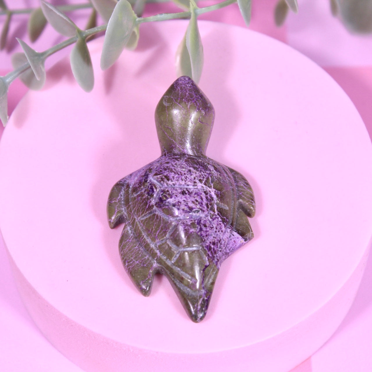Stitchtite turtles | choose your own
