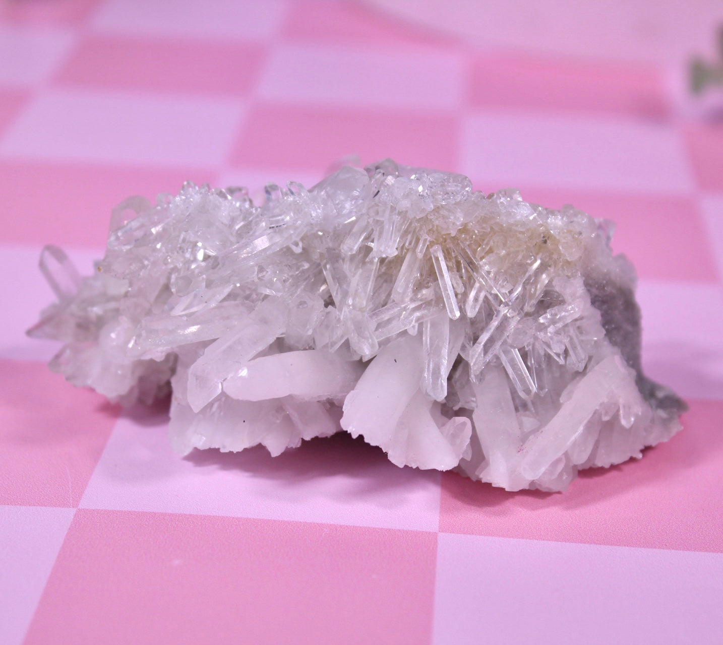 Chrysanthemum quartz #99
