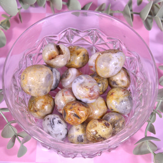 Crazy lace agate tumbles