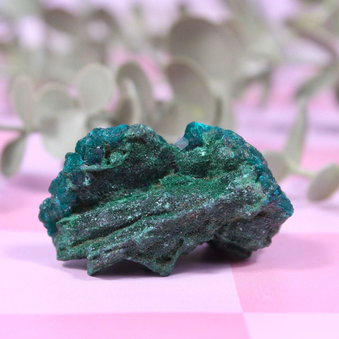 Dioptase x Malachite specimen