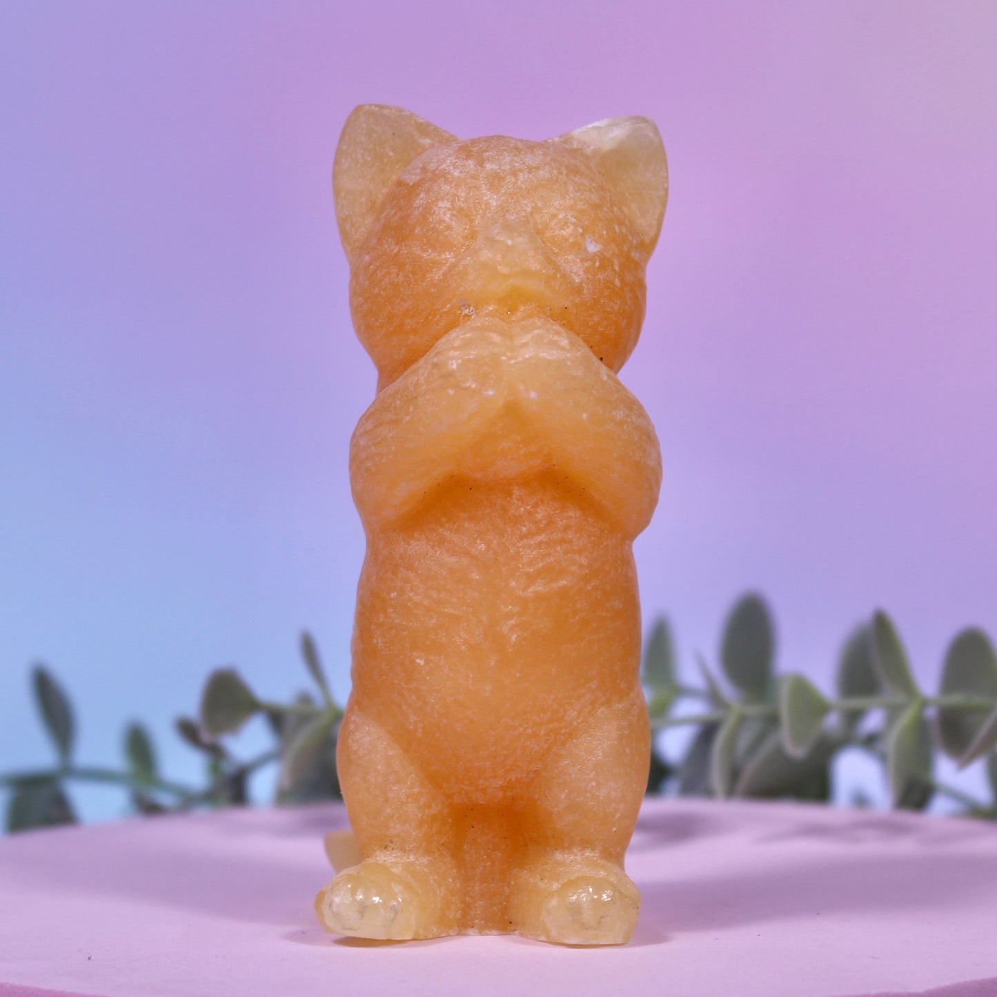 Cat carvings