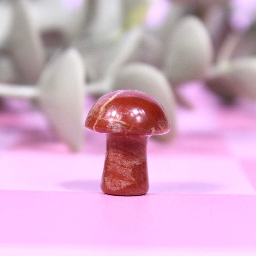 Mini mushrooms | choose your own