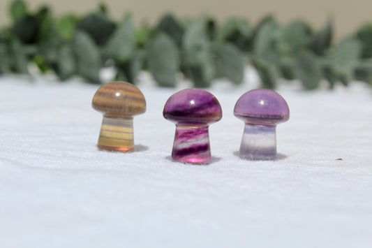 Mini fluorite mushroom