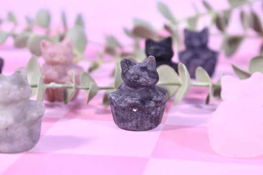 Cat in a basket | choose your own