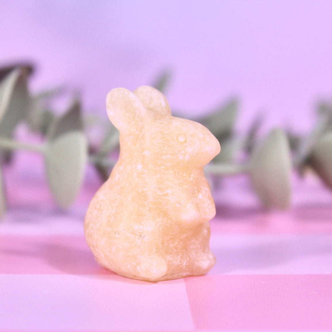 Rabbits