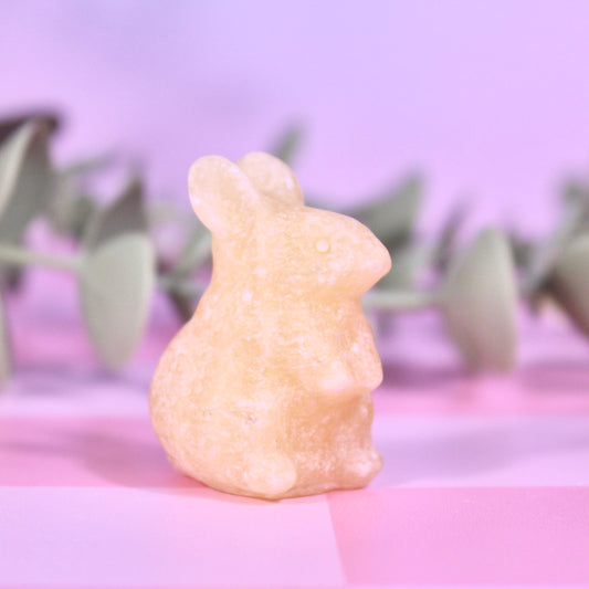 Rabbits