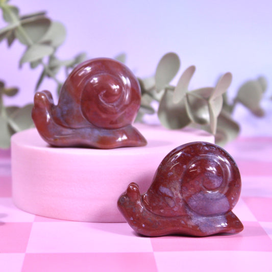 Ocean jasper snails
