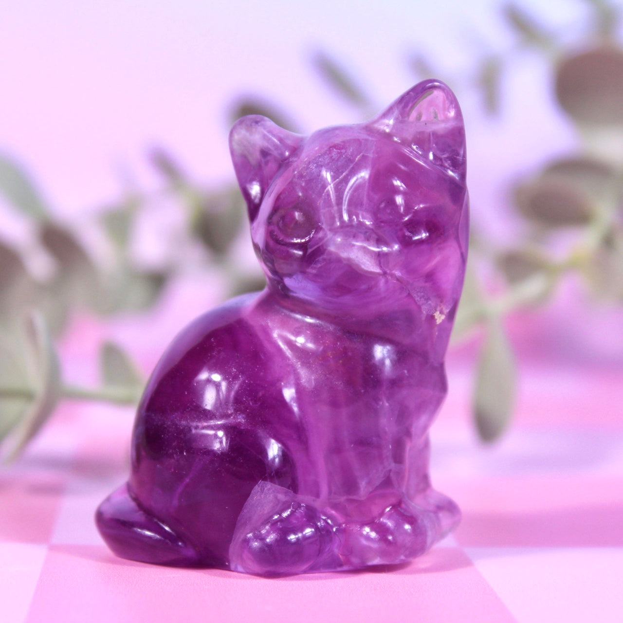 Fluorite cats | choose your own