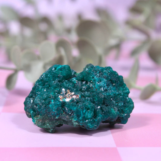 Dioptase x Malachite specimen