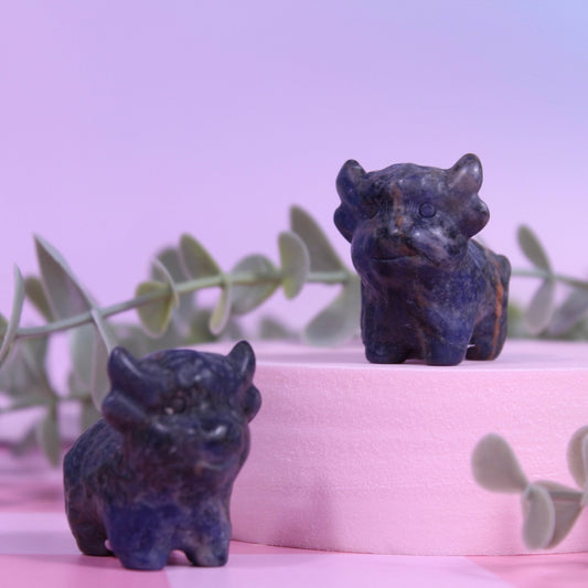 Sodalite highland cow | Choose your own | Small