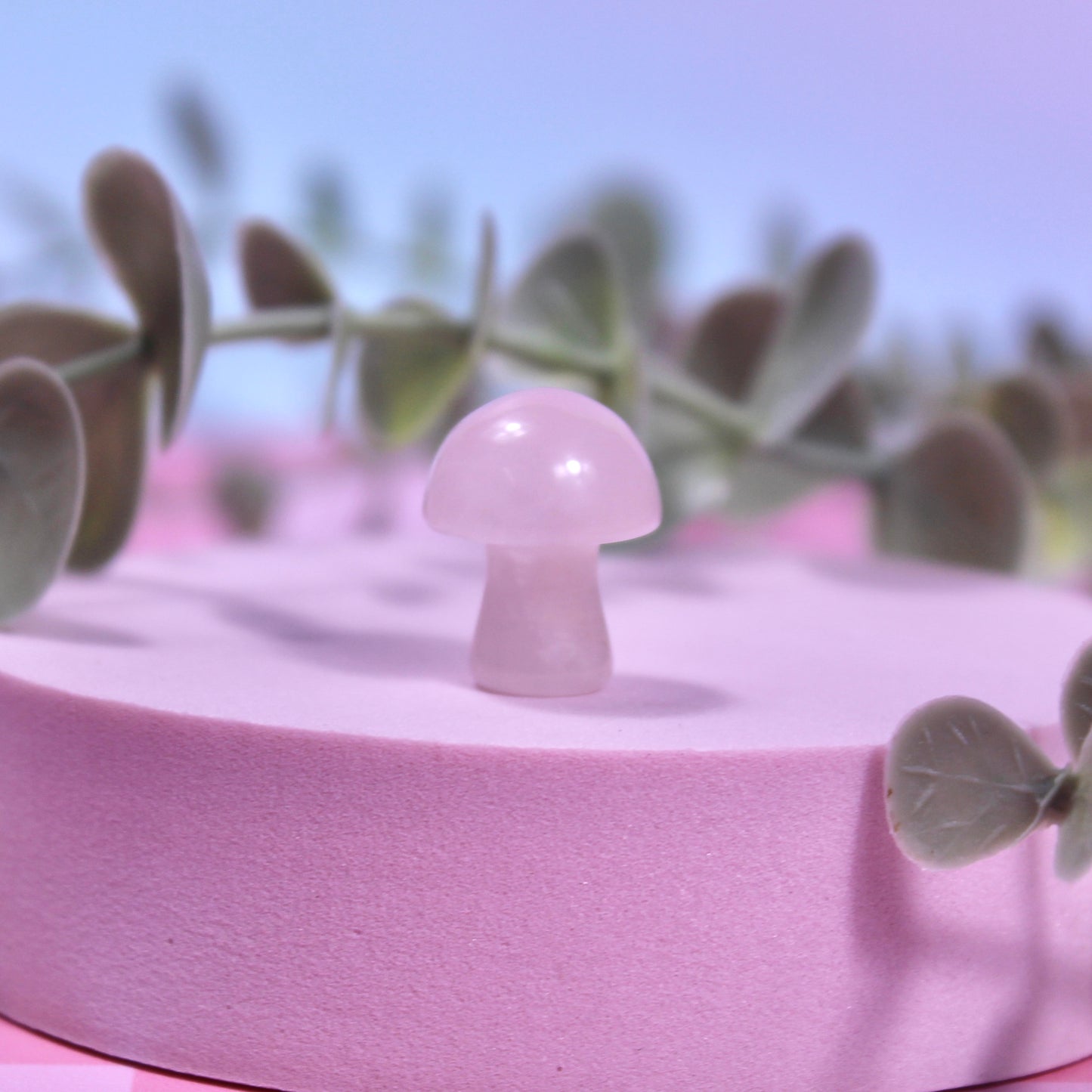 Mini mushrooms