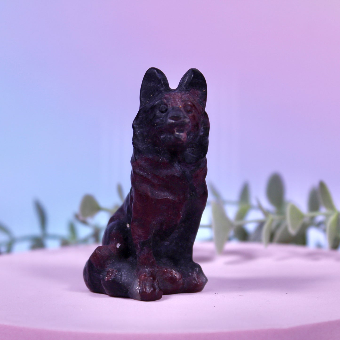German shepherd