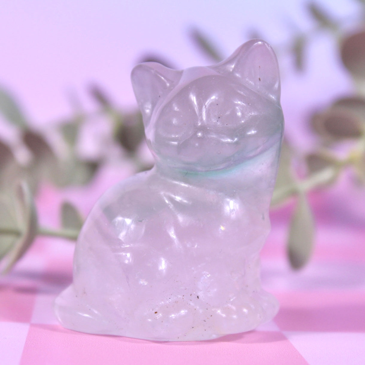 Fluorite cats | choose your own