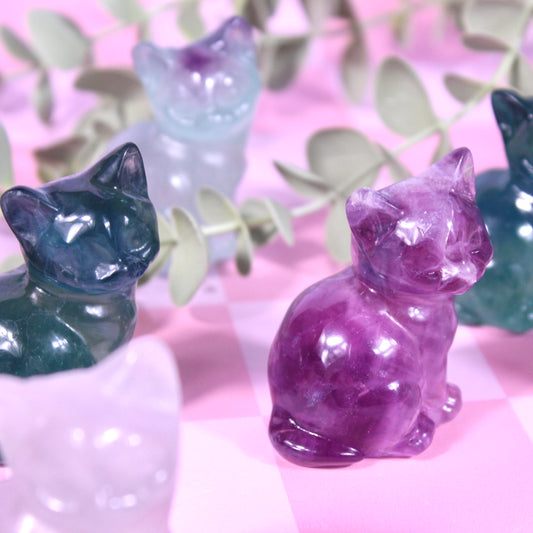 Fluorite cats | choose your own