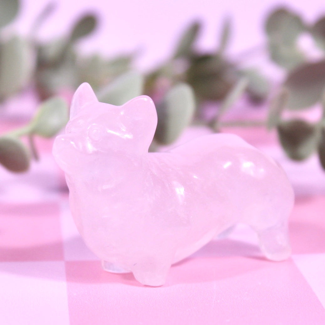 Corgi carvings | choose your own