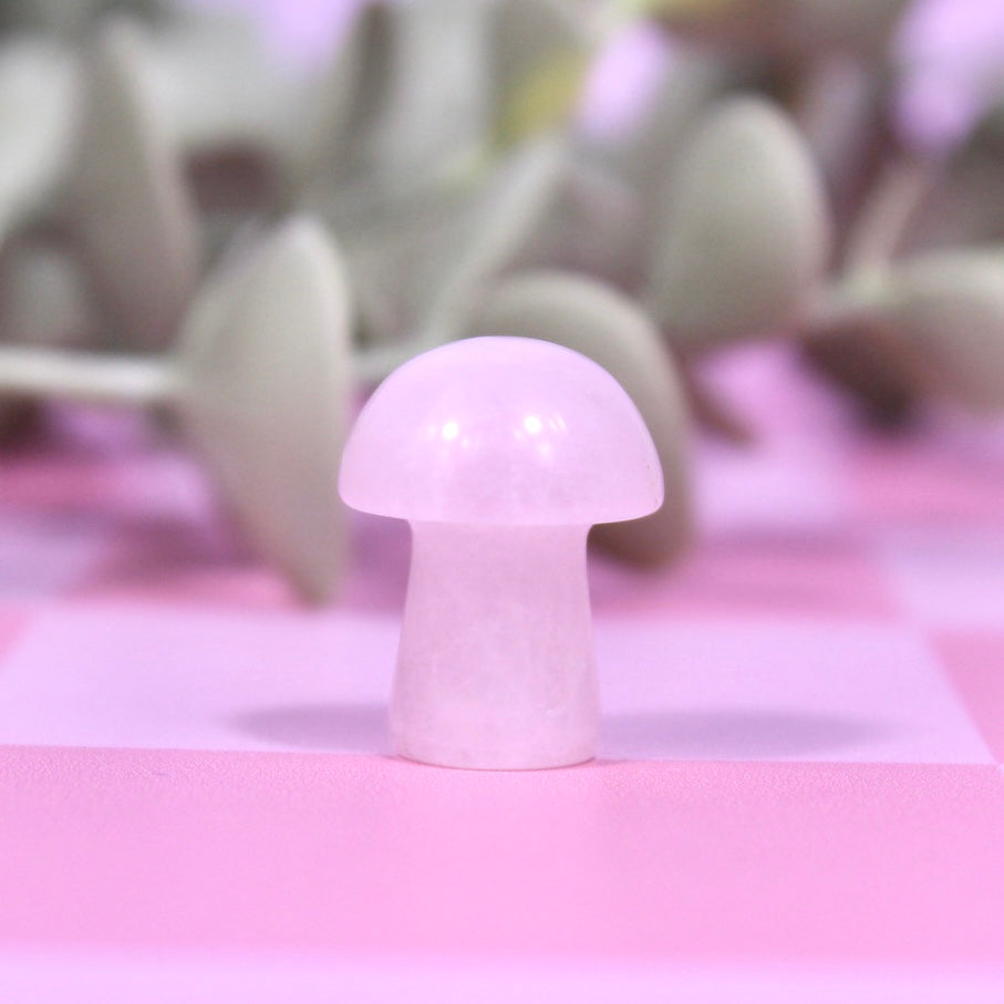 Mini mushrooms | choose your own