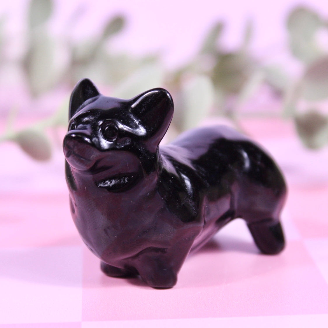 Corgi carvings | choose your own