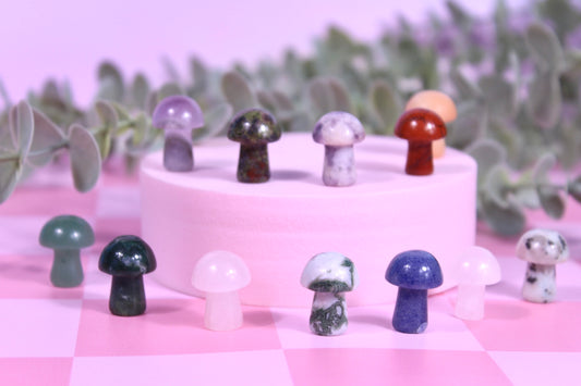 Mystery mini mushroom