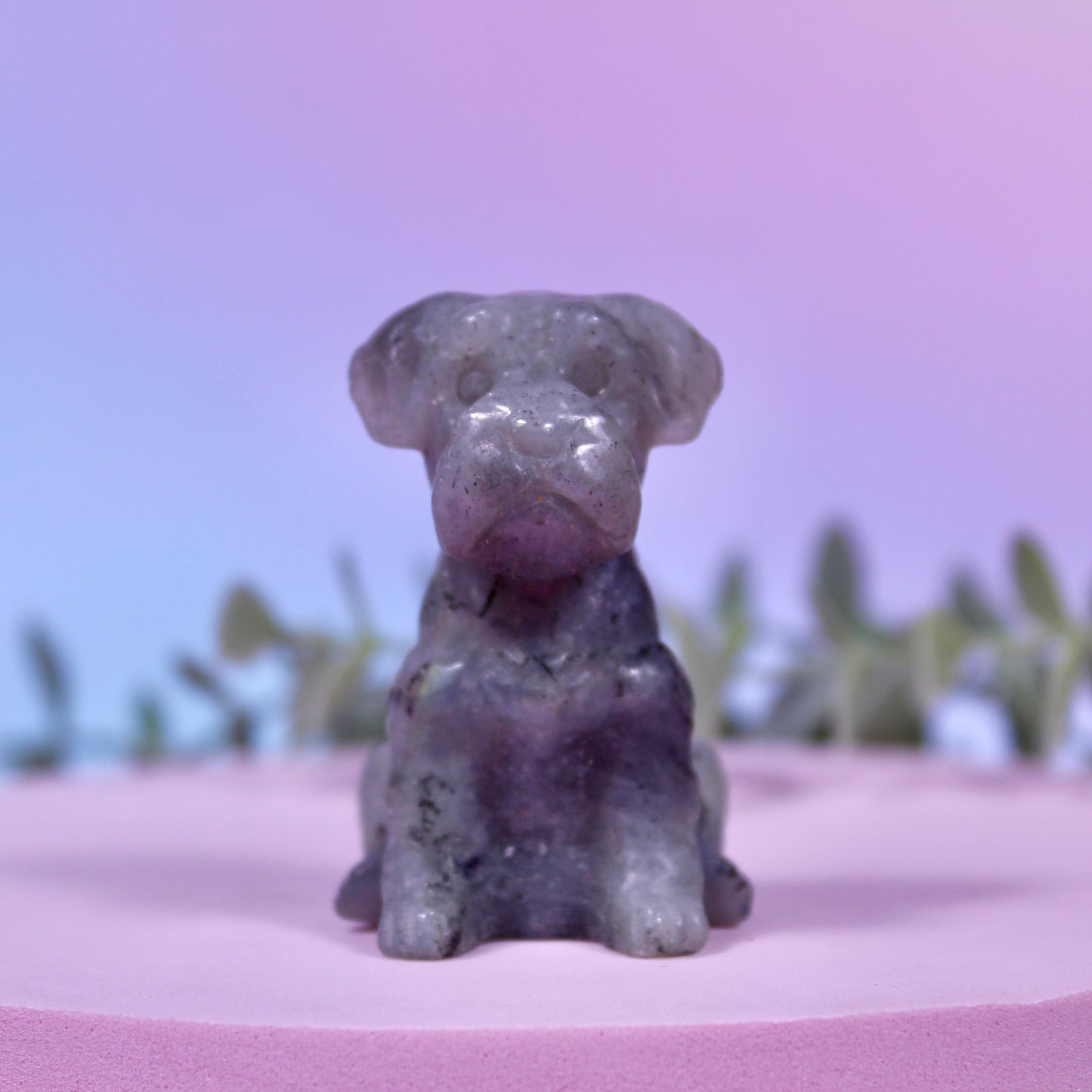 Dog carvings