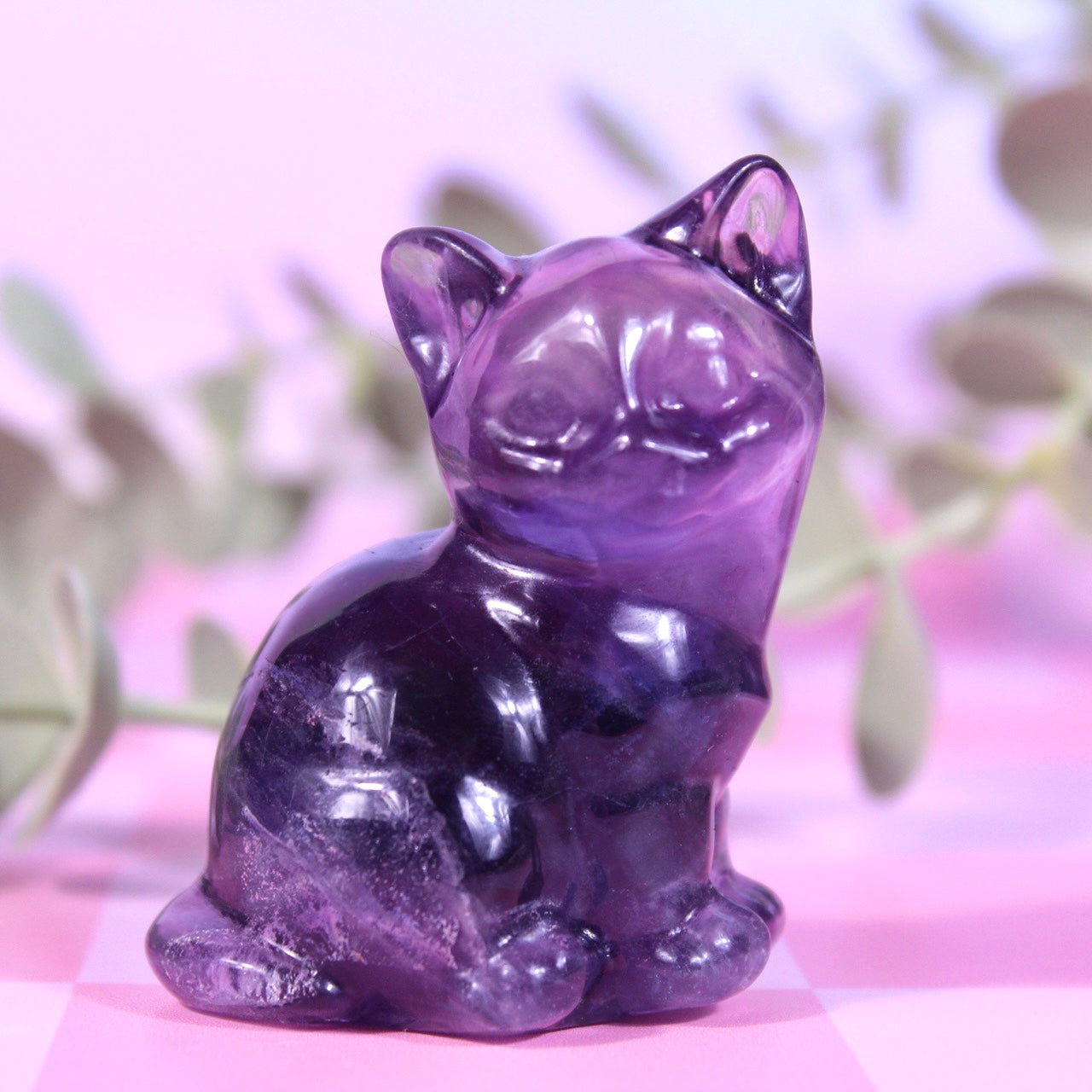 Fluorite cats | choose your own