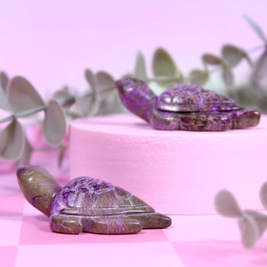 Stitchtite turtles | choose your own