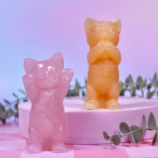 Cat carvings