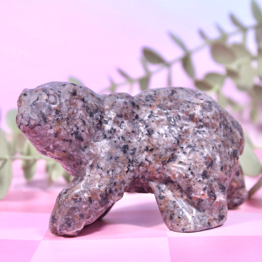 Yooperlite bear