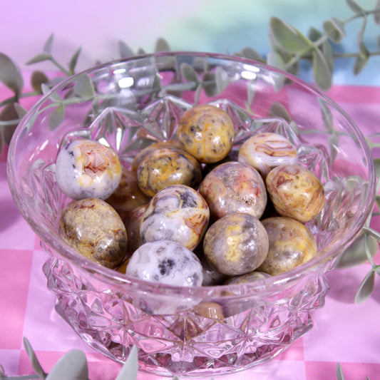 Crazy lace agate tumbles