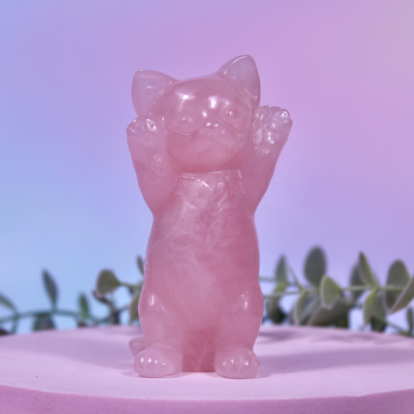Cat carvings
