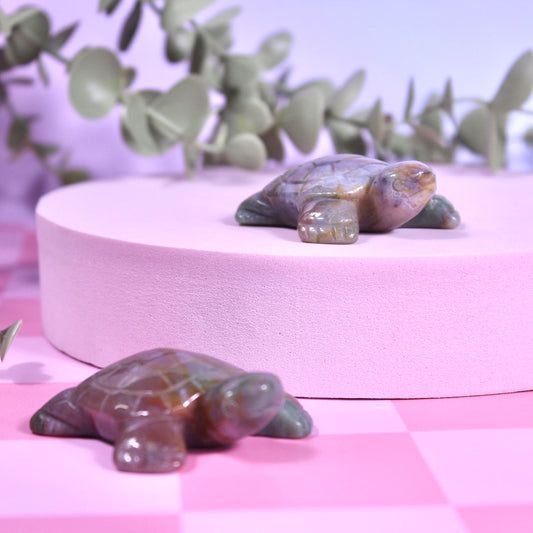 Ocean jasper turtles