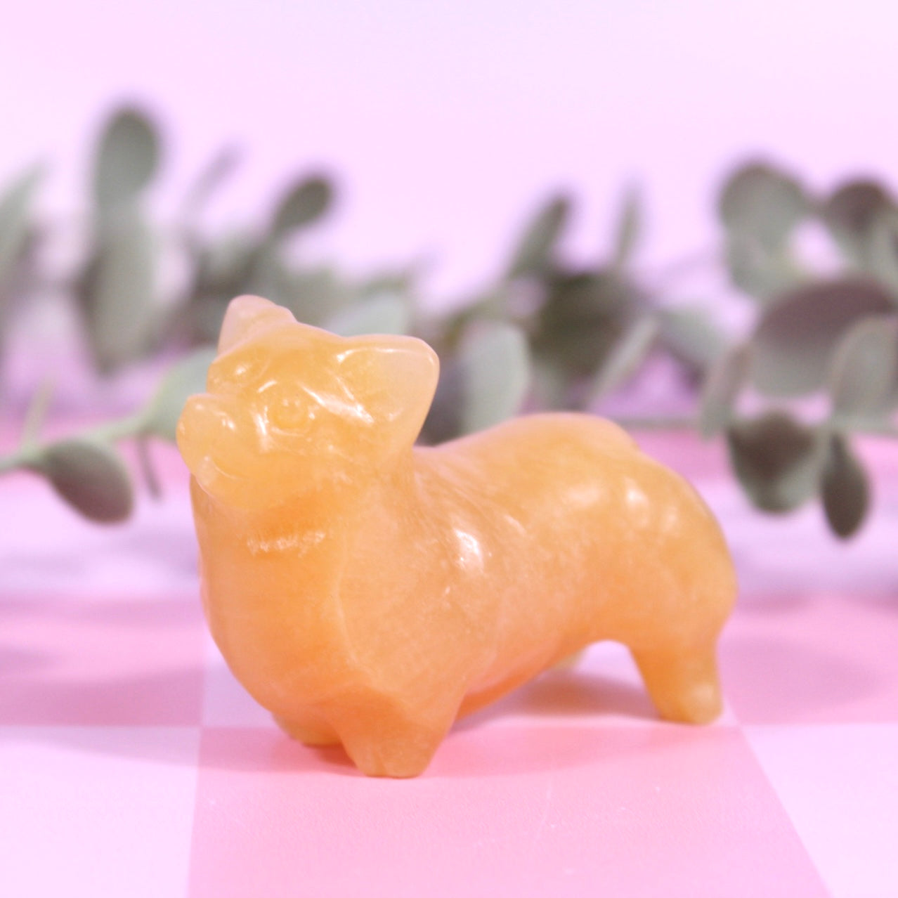 Corgi carvings | choose your own