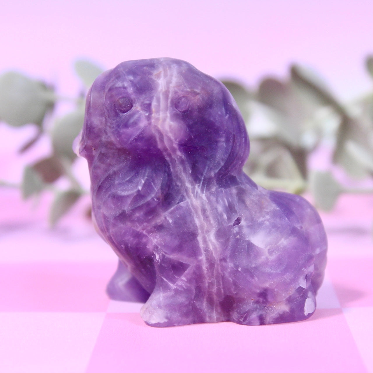 Chevron amethyst dog