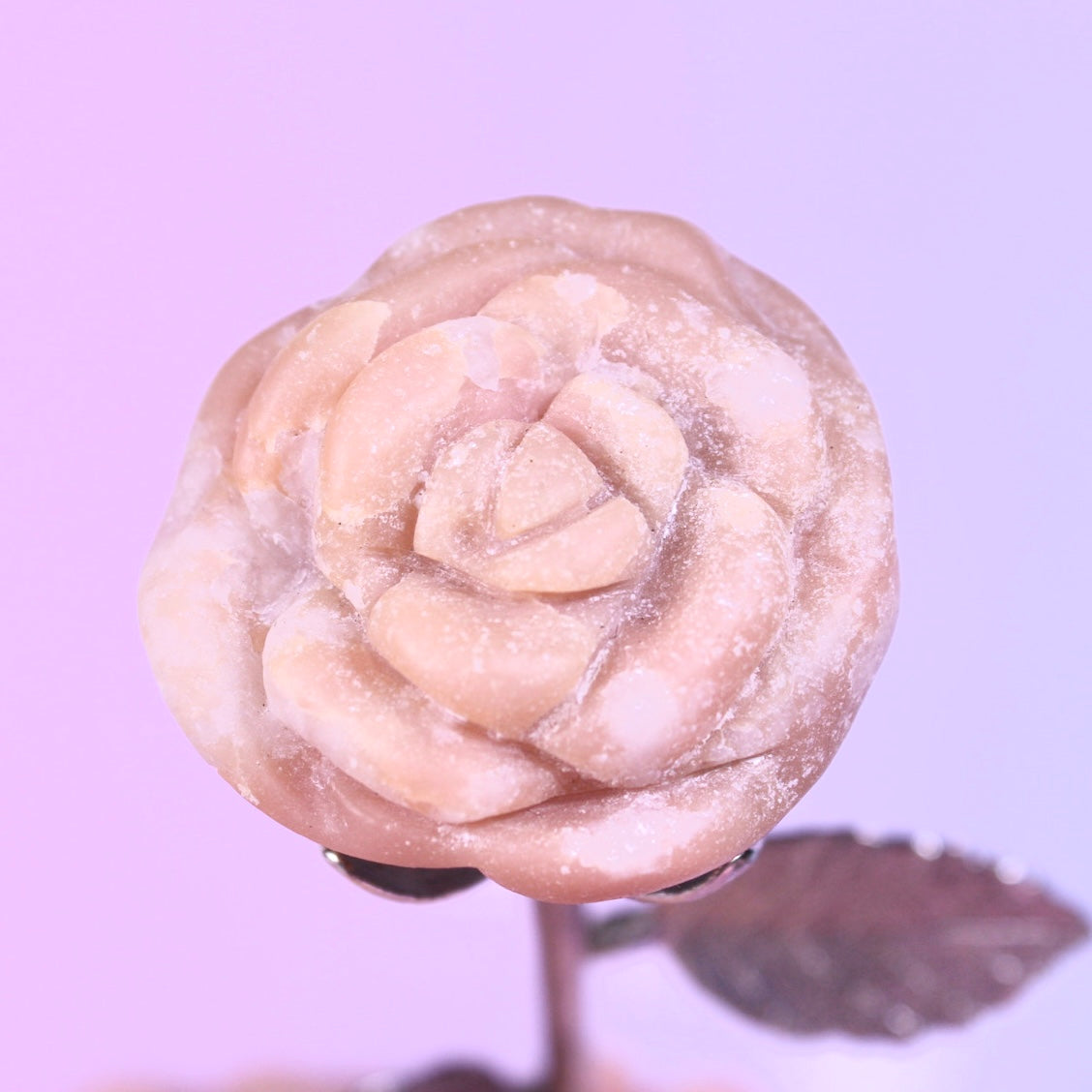 Large Pink opal rose