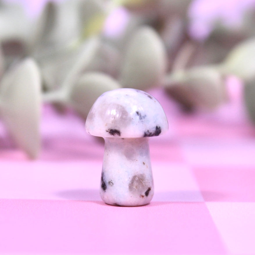 Mini mushrooms | choose your own