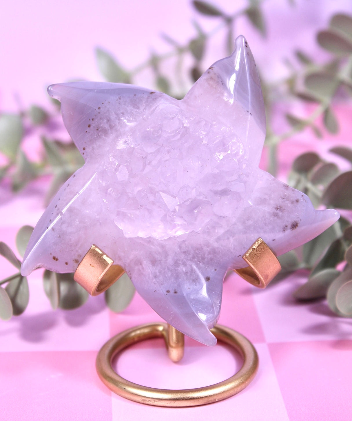 Agate sea star #54