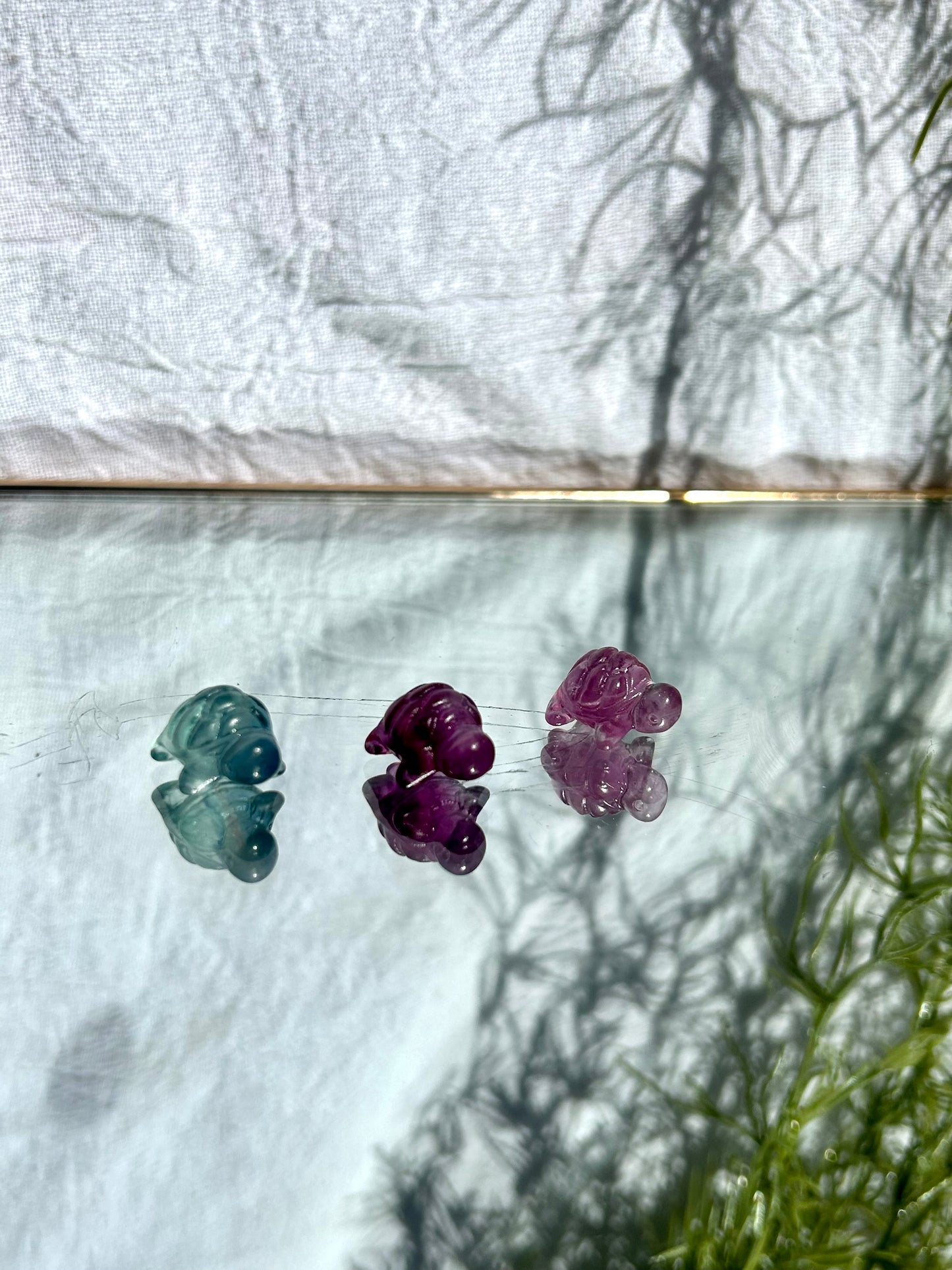 Mini fluorite turtles